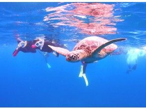 [Ishigaki Island Diving, Phantom Island, Sea Turtles, 1 Day] Landing on the Phantom Island & 1 Day Experience Diving 1 Dive & Snorkeling ☆ Free Photo Data ☆