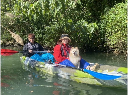 Kayak experience with pets! Healing tour with subtropical nature ★Free photos, rental items, and showers!の画像
