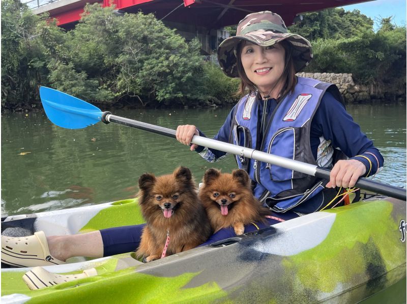 特价！和爱犬一起在水上探险吧！与爱犬一起享受亚热带自然治愈之旅★免费提供照片、租赁用品和淋浴！★人气爆棚！全新舒适设施の紹介画像