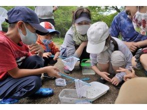 株式会社日光自然博物館