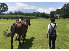 【長野・木曽開田高原】木曽馬と歩く プライベートウォーキングの画像