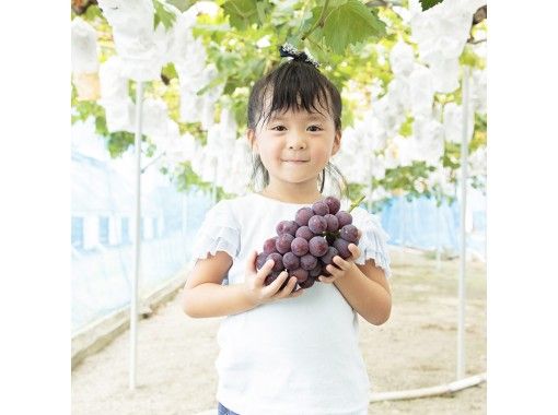 【岡山・赤磐】ぶどうプラン～シャインマスカット狩り「1房＋20粒試食」の画像