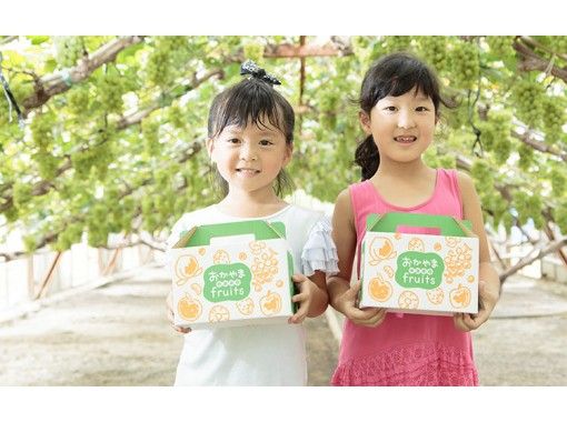 【Okayama・Akaiwa】 Peach Picking Experience 「2pcs+Sampling 2pcs」（60min）の画像