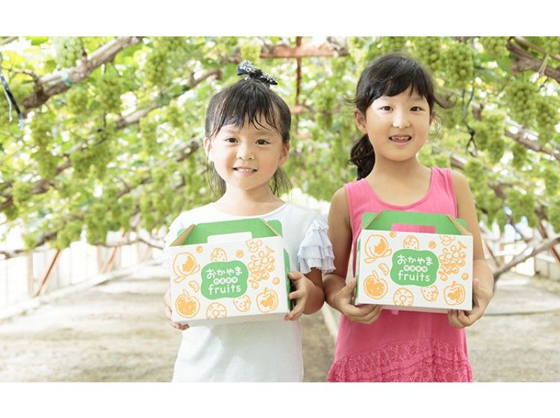 【Okayama・Akaiwa】 Peach Picking Experience 「Sampling 1pc」（30min）の紹介画像