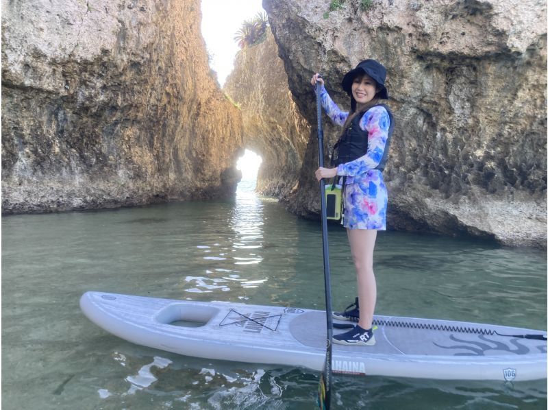 シートラベラーの割引プラン