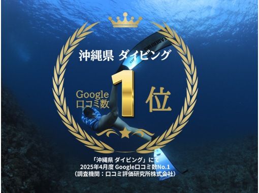 2025年4月度Google口コミ数「沖縄ダイビング」1位！那覇発・半日慶良間諸島】かなづちでもできる！レクチャー・撮影付きスキンダイビングの画像