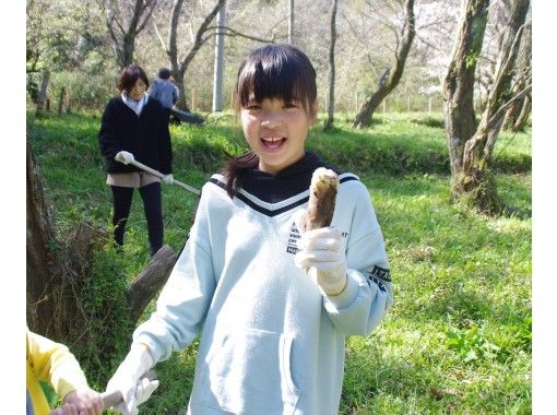 【徳島・四国】タケノコ堀り体験＆採れたてたてタケノコで料理体験の画像