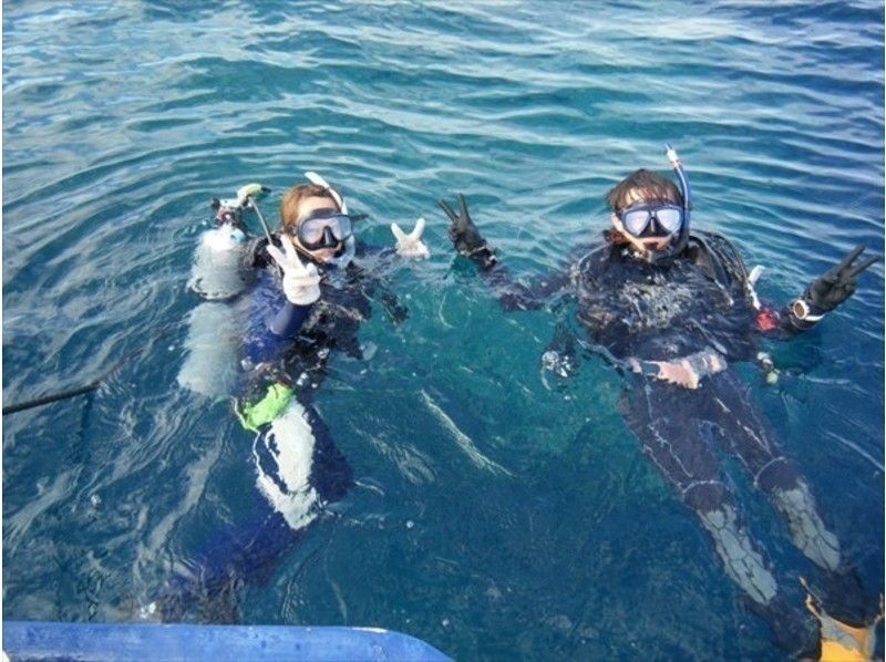 【大阪発 ⇒ 福井・若狭湾】無人島の冠島やアサグリ・音海半島周辺★ファンダイビングツアー（2ダイブ）