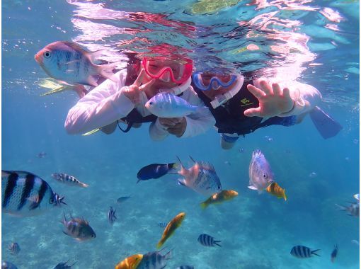 【沖縄・北部】☆完全貸し切り☆秘密の海でシュノーケリング！ビーチエントリーでサンゴだらけの海へご案内！本部町内送迎します！の画像