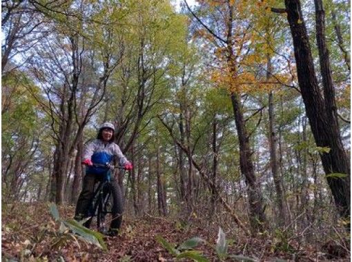 森の中を自転車でかけめぐる初めて体験をしてみませんか ガイドと行くオフロードサイクリングツアー アクティビティジャパン