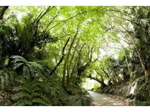 鹿児島県の食べ物 モノづくりの予約 日本旅行 オプショナルツアー アクティビティ 遊びの体験予約