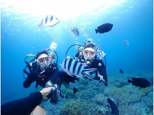 ［沖縄・北谷］温水シャワー・インナーで寒さ対策バッチリ！ボート体験ダビング1本！写真・餌やりサービスの画像