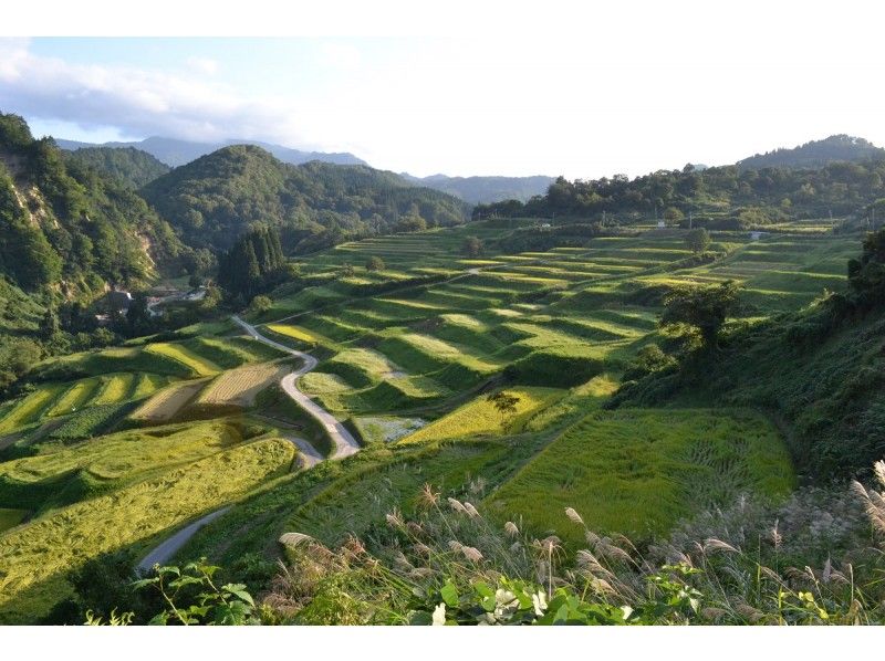 [Yamagata Prefecture, Hijiori Onsen] "Mini tour of rice terraces and beech forests in Yokkamura" Guided by a local guide ♪ Okura village enjoyment tour by bus \ Okura village of 100 selections of rice terraces in Japanの紹介画像