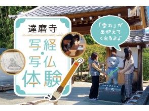 【奈良・王寺】達磨寺　写経・写仏体験の画像