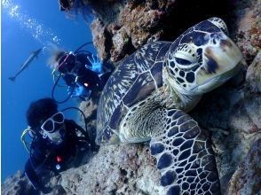 Ponopono(ポノポノ)