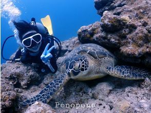 [Okinawa / Ishigaki Island] Limited to one group! Experience diving with complete charter! Reliable polite diving with beach entry without boat sicknessの画像