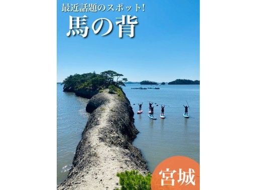 【宮城・松島】初心者歓迎！人気の松島湾サップツアー！写真無料！カフェ1ドリンク付き！の画像
