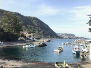 【大瀬崎・富戸】東京発送迎あり２ビーチファンdive※海況のよいポイントにGo！