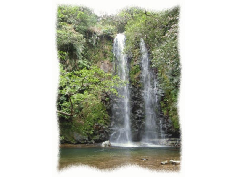 [Okinawa ・ Nago] A southern country river trekking plan to be healed by nature! (half-day course)の紹介画像