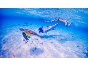 [Okinawa Miyakojima] [Sea turtle or coral fish snorkeling tour] [Underwater photography included] This plan allows you to choose between sea turtles or coral fish!の画像