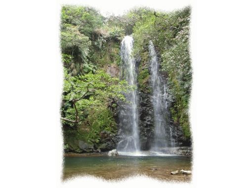 [โอกินาว่า・ Nago] แผนการเดินป่าแม่น้ำทางตอนใต้ของประเทศเพื่อรับการเยียวยาจากธรรมชาติ! (หลักสูตรหนึ่งวัน)の画像
