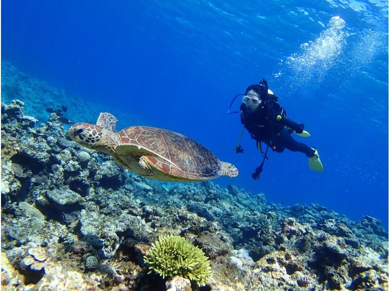 [Departure from Naha/Kerama Chibishi Islands/half day] \Limited price/Fun Diving (2 dives)| ◆Afternoon◆の紹介画像