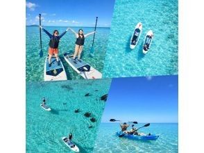 【石垣島】エメラルドグリーン広がる絶景の北部の海をSUP/カヤック体験✨遠浅のウミガメの産卵ポイントで開催‼️初心者向け✨写真動画無料！