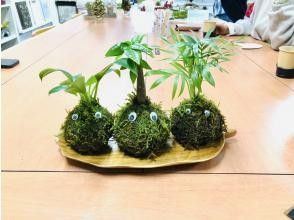 【宮城・仙台市】癒しの苔玉作り体験☆仙台、広瀬通駅から徒歩で直ぐ！【探究A型】