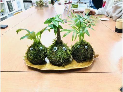 【宮城・仙台市】癒しの苔玉作り体験☆仙台、広瀬通駅から徒歩で直ぐ！【探究A型】の画像