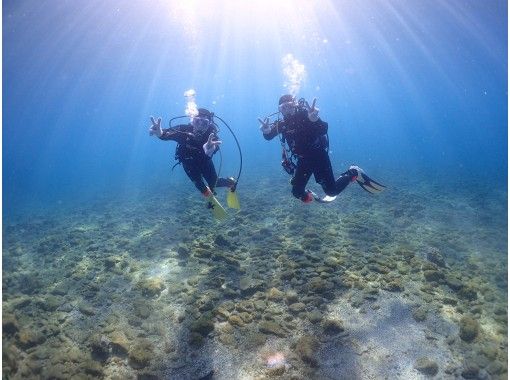 【和歌山・串本】カップルやグループにオススメ☆サンゴ礁が広がる本州最南端の海で体験ダイビング！の画像