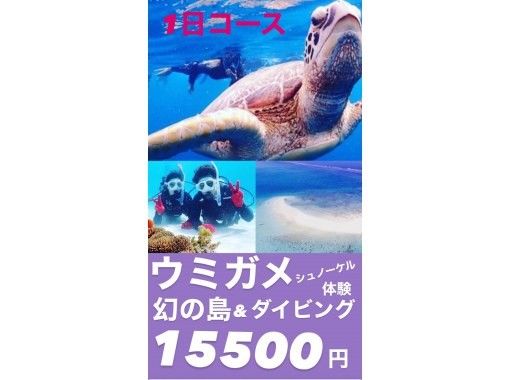 【初心者専門店】これぞ石垣の夏！幻の島＆ウミガメと一緒に泳ごう・体験ダイビング＆シュノーケリング【1日たっぷり大満足】【写真データ無料】の画像
