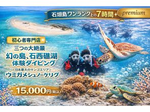 【初心者専門】幻の島&times;石西礁湖｜体験ダイビング＆ウミガメシュノーケリング｜石垣島7時間