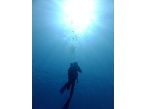 [오키나와· 나고】 보트다이빙그리고,오키나와바다를 마음껏 만끽! (1 배)の画像