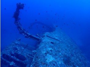 TEERA SCUBA VENTURES, OKINAWA(티라 스쿠버 벤처스)