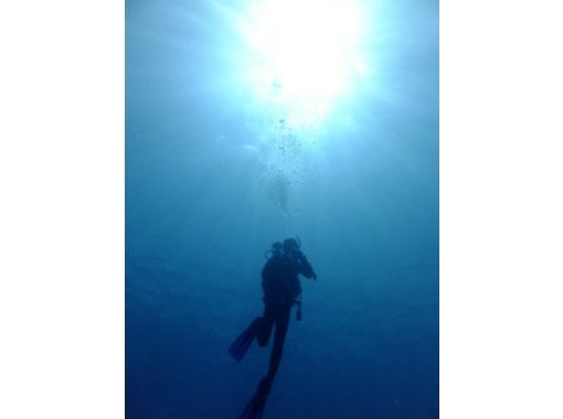 [沖縄·Nago]體驗船深潛在，沖縄享受和平之海（船租賃包括設備）の画像