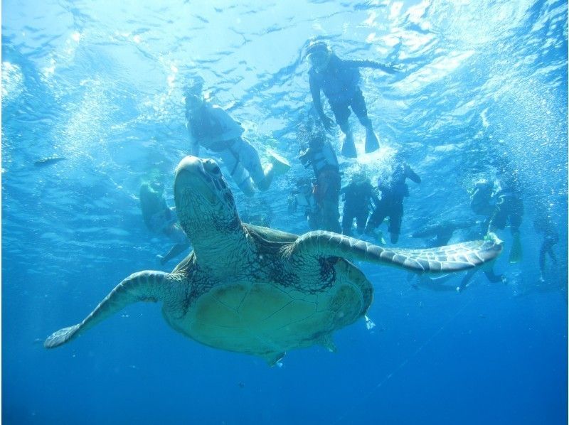 【那覇発・慶良間】2つのポイントをめぐる慶良間（ケラマ）諸島シュノーケリング体験（1日コース）