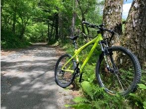 マウンテンバイク(MTB)・ダウンヒル体験・ツアーのアクティビティ 