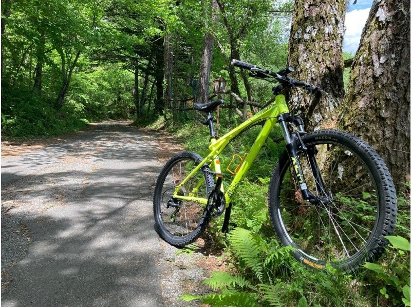 山梨・富士山】『世界遺産の“道”をマウンテンバイクでダウンヒル！歴史を感じるサイクルツアー』 ～茶屋当主による史跡案内・お茶＆茶菓子付～ |  アクティビティジャパン