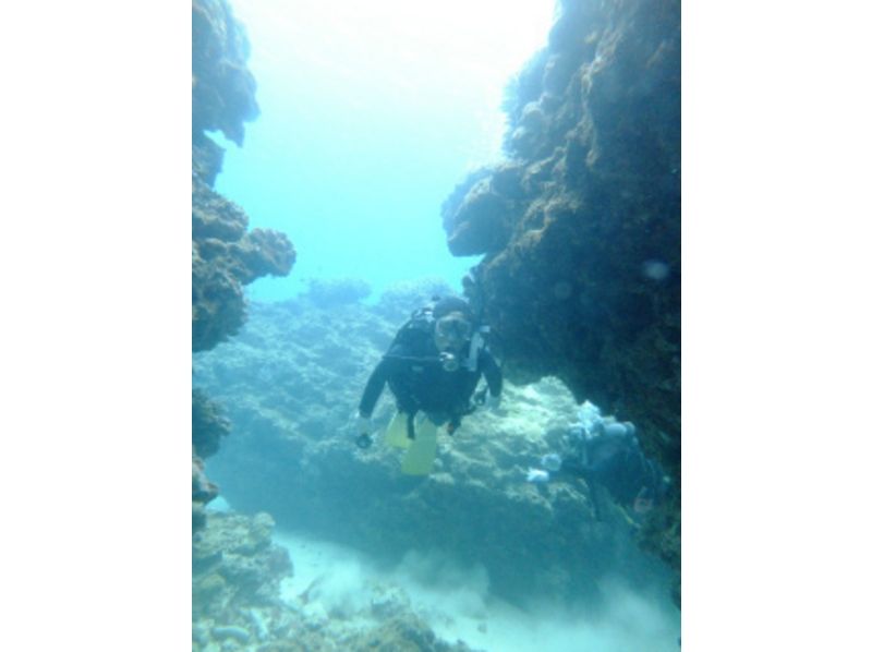 [沖縄Nago]開放水域潛水員（SSI）計劃，至少3天執照取得可能的！の紹介画像