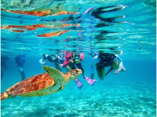 [Okinawa Kerama Islands] half-day kayak & sea turtle snorkeling tourの画像