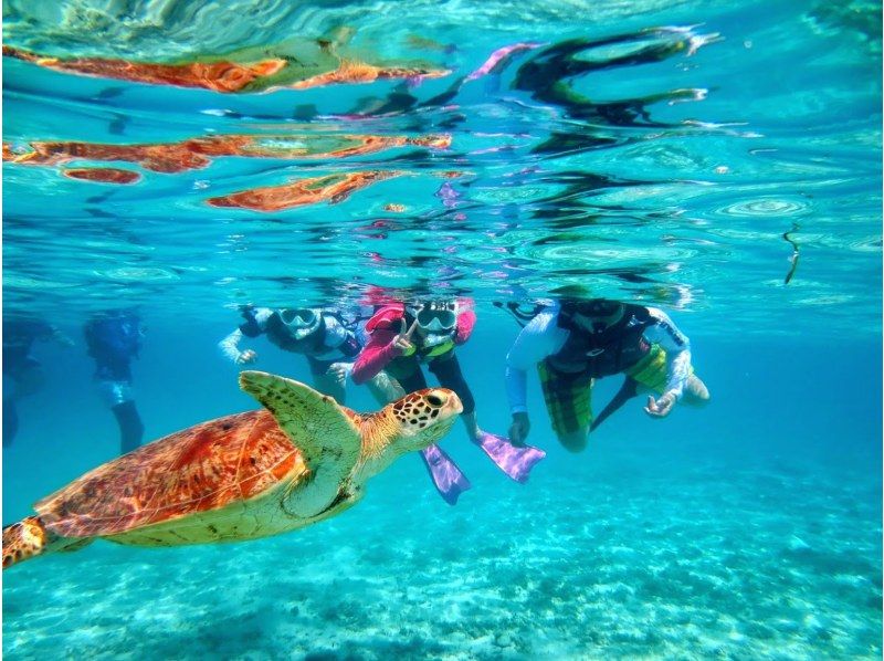 [Okinawa Kerama Islands] half-day kayak & sea turtle snorkeling tourの紹介画像