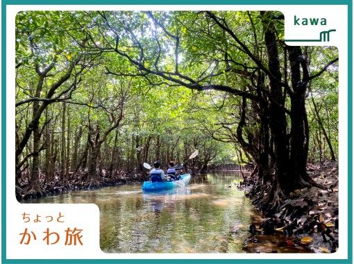 【沖縄・西表島】手軽に半日マングローブカヤック(３時間)。静かなマングローブの森の中、光と小鳥たちの歌が舞う。小さなお子様でも安心のコース！の画像