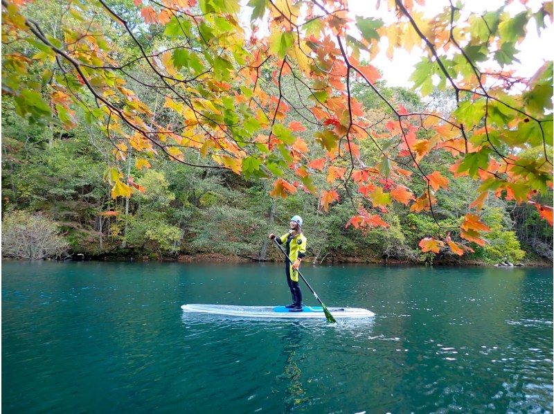 First in Hokkaido! Clear SUP (SUP) Warm cruising with a dry suit that does not get wet all over! Water quality is the best in Japan for more than 10 years. It is safe at the only local shop in Lake Shikotsu!の紹介画像