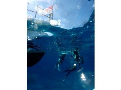 [Shizuoka Kanagawa, Yamanashi diving license] Advanced Open Water Diver (Intermediate Course)の画像