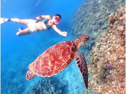 【沖縄・石垣島】ビーチから泳ごう!ウミガメ半日シュノーケリング《防水カメラレンタル無料》:ビーチシュノー 【沖縄・石垣島】ビーチから泳ごう!ウミガメ半日シュノーケリング《防水カメラレンタル無料》:ビーチシュノー