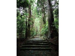 【和歌山 熊野古道】世界遺産 熊野古道 大門坂ウォーキングの画像