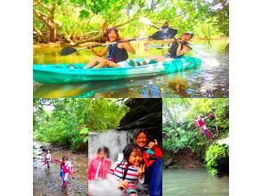 [World Heritage Iriomote Island Half Day] World Heritage Recommended Unexplored Waterfall Play! Mangrove canoe x jungle trekking x waterfall play! [Free tour photo data]