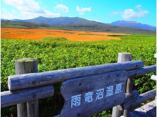 [Hokkaido / Sorachi] Uryu-numa Marsh Tour with a professional guideの画像