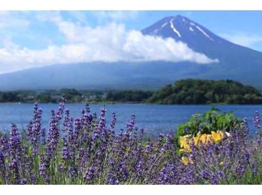 【山梨・河口湖】ゆるゆるポタリング♪楽々電動自転車で巡るラベンダー香る河口湖ハーブフェスティバルと河口湖ピクニックランチの画像