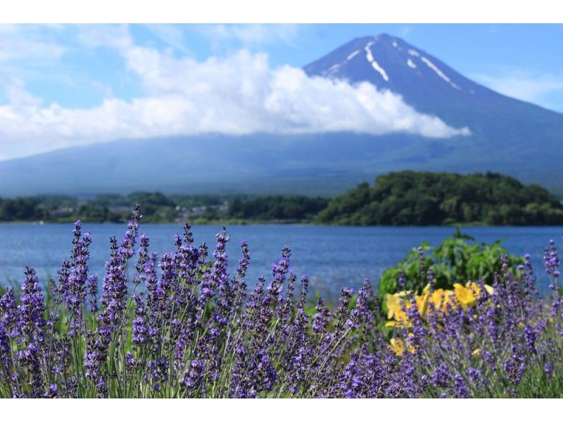 【山梨・河口湖】ゆるゆるポタリング♪楽々電動自転車で巡るラベンダー香る河口湖ハーブフェスティバルと河口湖ピクニックランチの紹介画像